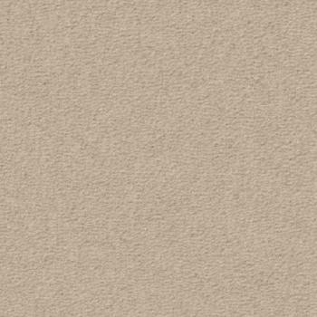 Vorwerk Modena 8E92 Teppichboden – Draufsicht auf die 100 m² Großrolle mit robuster Objektstruktur